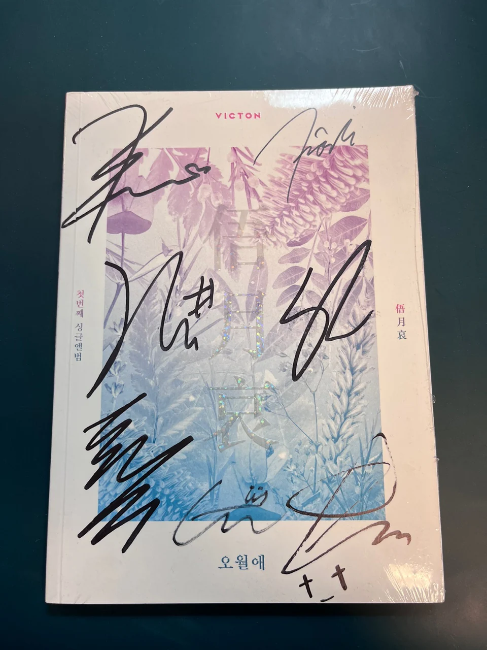 빅톤 (VICTON) | 싱글1집 [오월애(俉月哀)] | AUTOGRAPHED ALBUM