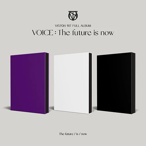 빅톤 (VICTON) - 1st album [VOICE : The future is now] [SET]