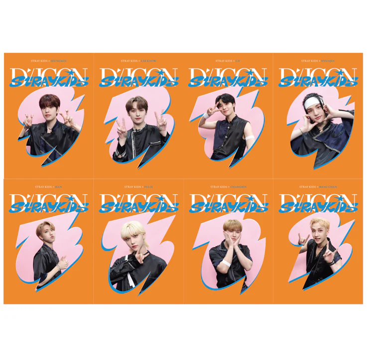 DICON D’FESTA MINI EDITION : STRAY KIDS