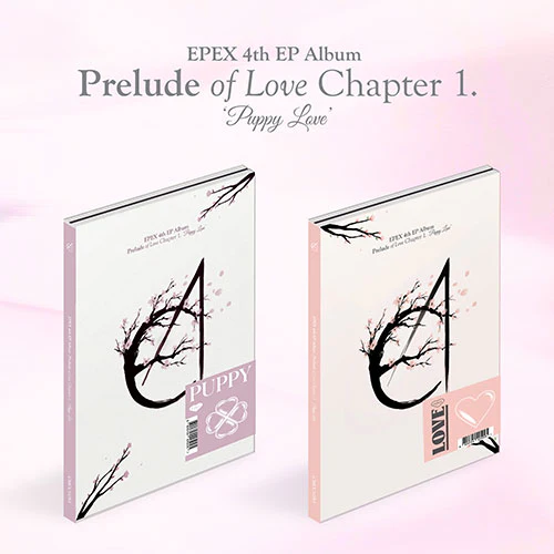 EPEX - Prelude of Love: Chapter 1. Puppy Love