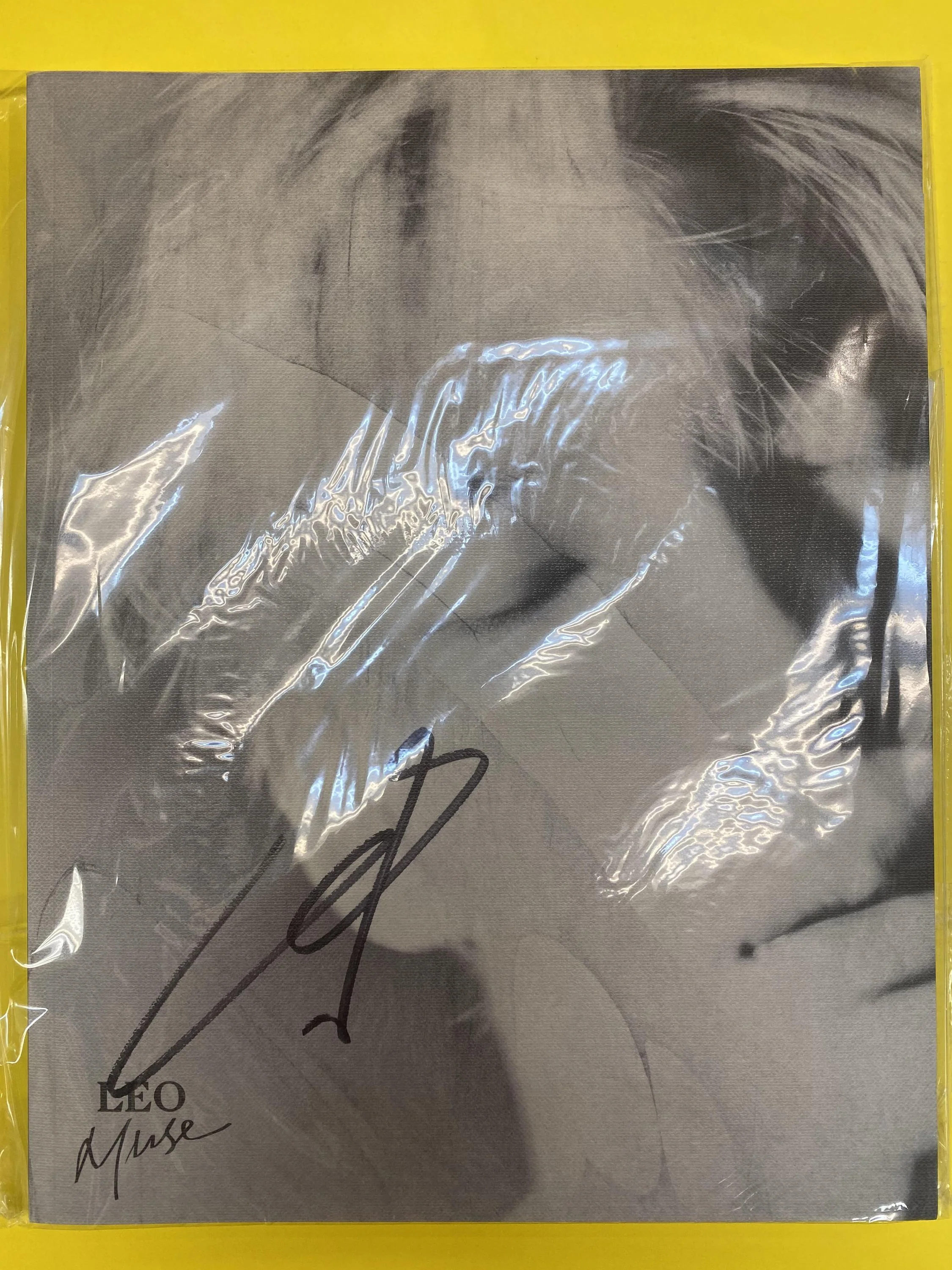 VIXX - " LEO Autographed Album "MUSE " signed album
